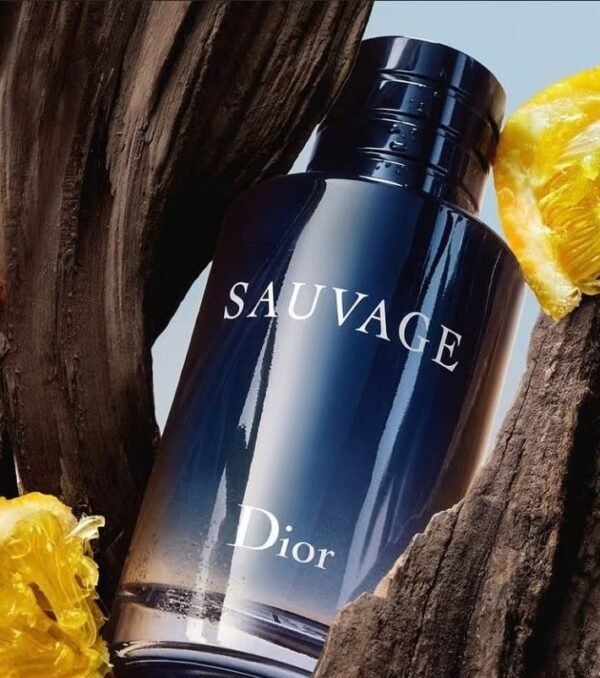 DIOR Wilderness  10ML - 图片 2