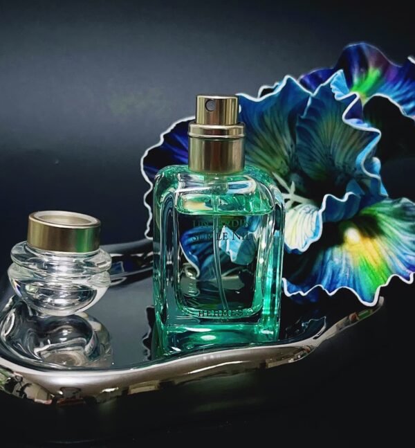 HERMES  The Nile  7.5ML - 图片 2